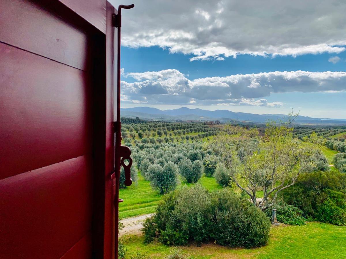 Tenuta Agricola Fraschiera Villa มัสซามาริตติมา ภายนอก รูปภาพ