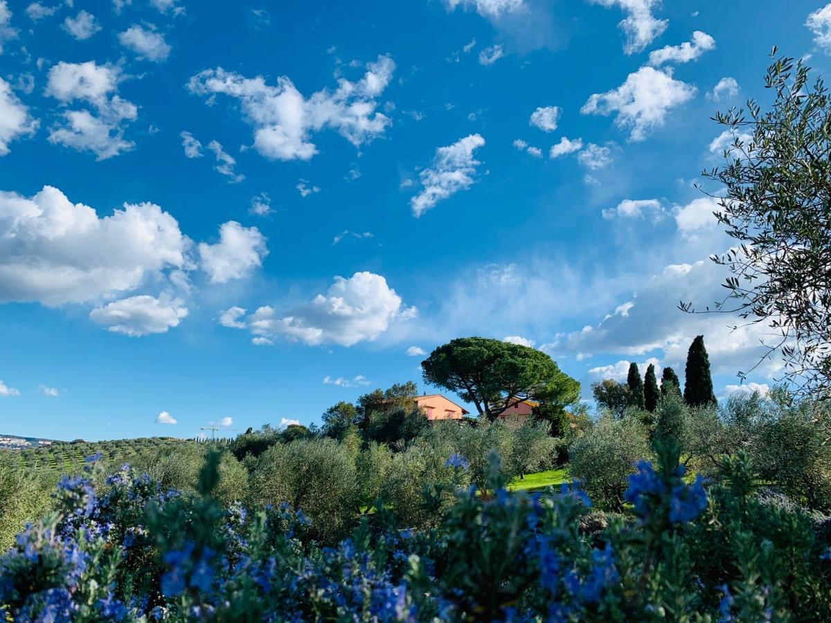 Tenuta Agricola Fraschiera Villa มัสซามาริตติมา ภายนอก รูปภาพ