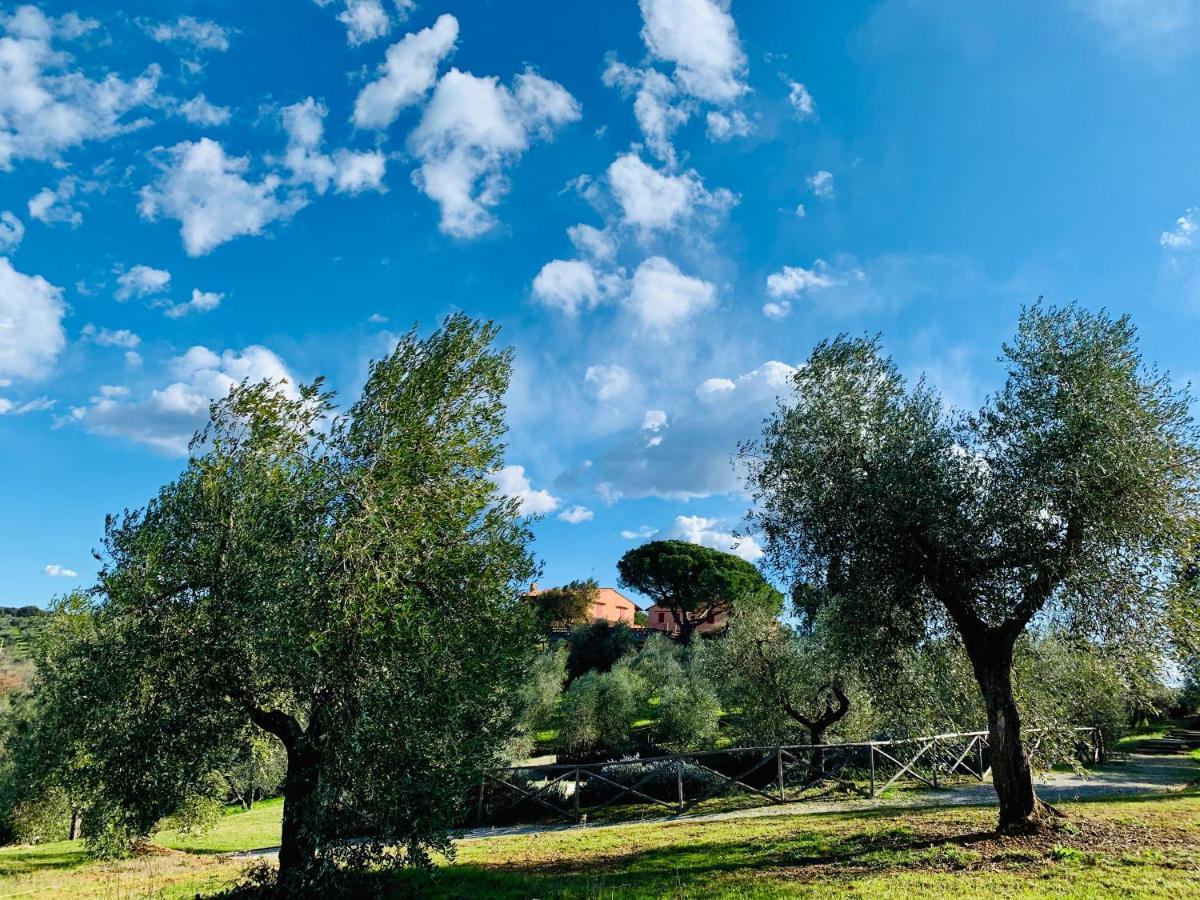 Tenuta Agricola Fraschiera Villa มัสซามาริตติมา ภายนอก รูปภาพ
