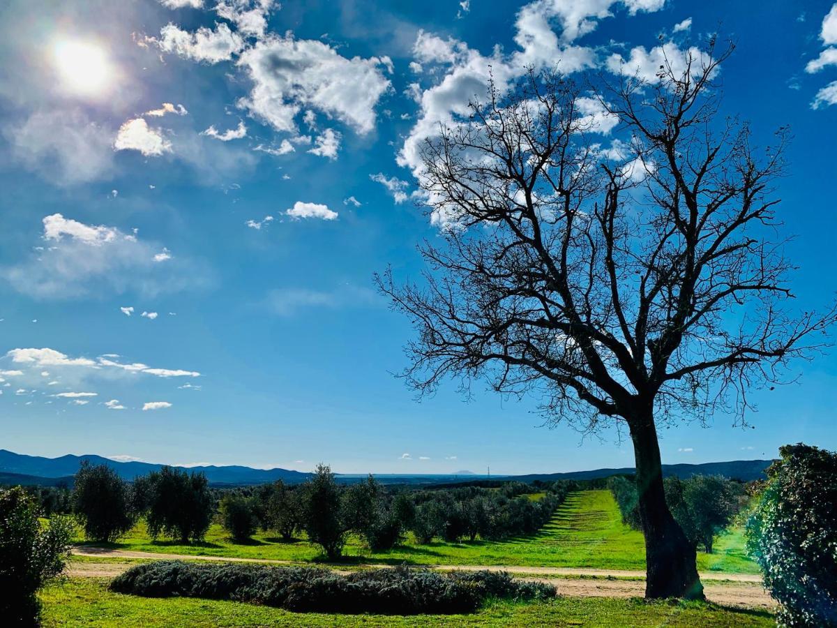 Tenuta Agricola Fraschiera Villa มัสซามาริตติมา ภายนอก รูปภาพ