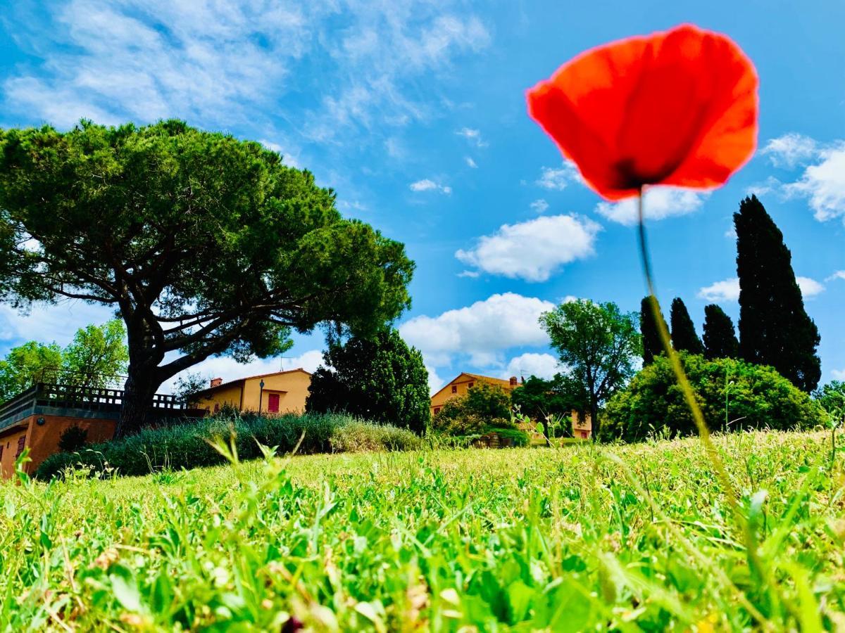 Tenuta Agricola Fraschiera Villa มัสซามาริตติมา ภายนอก รูปภาพ