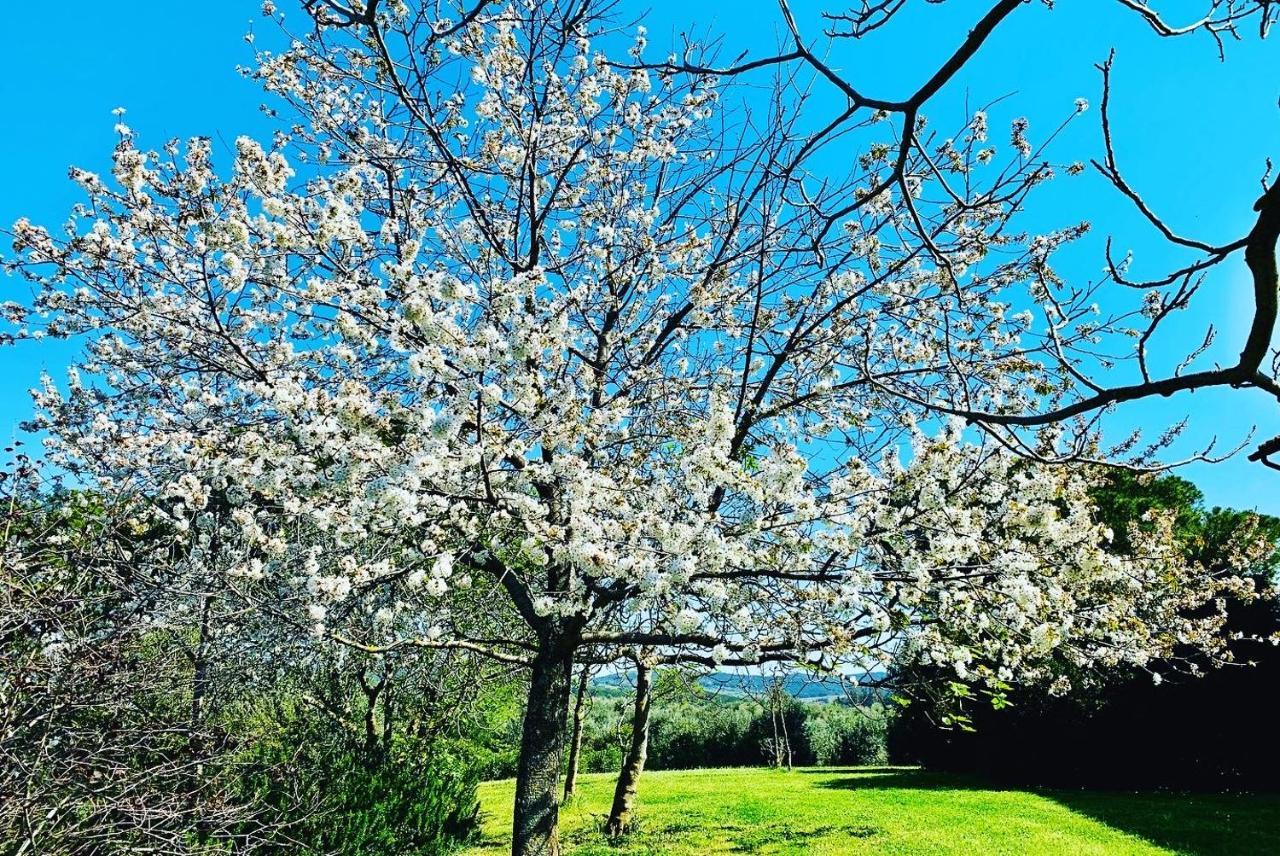 Tenuta Agricola Fraschiera Villa มัสซามาริตติมา ภายนอก รูปภาพ